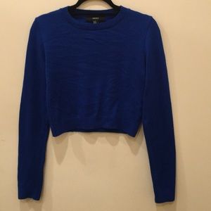 Blue Long Sleeves Cropped Top